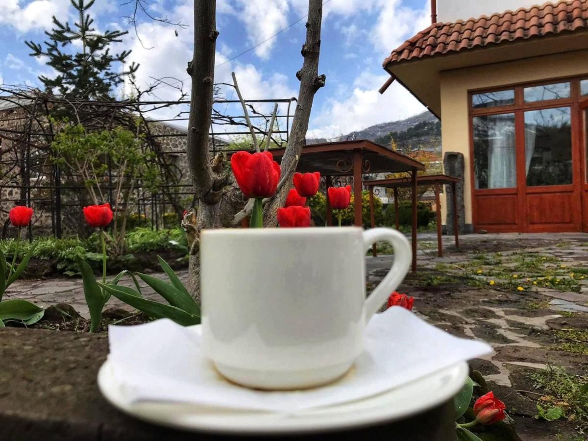 Mirhav Goris