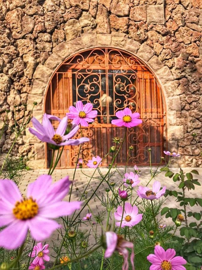Mirhav 3* غوريس
